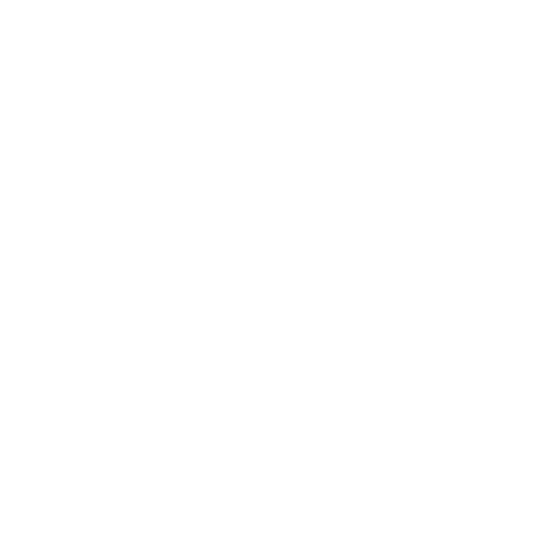 Secret Service
